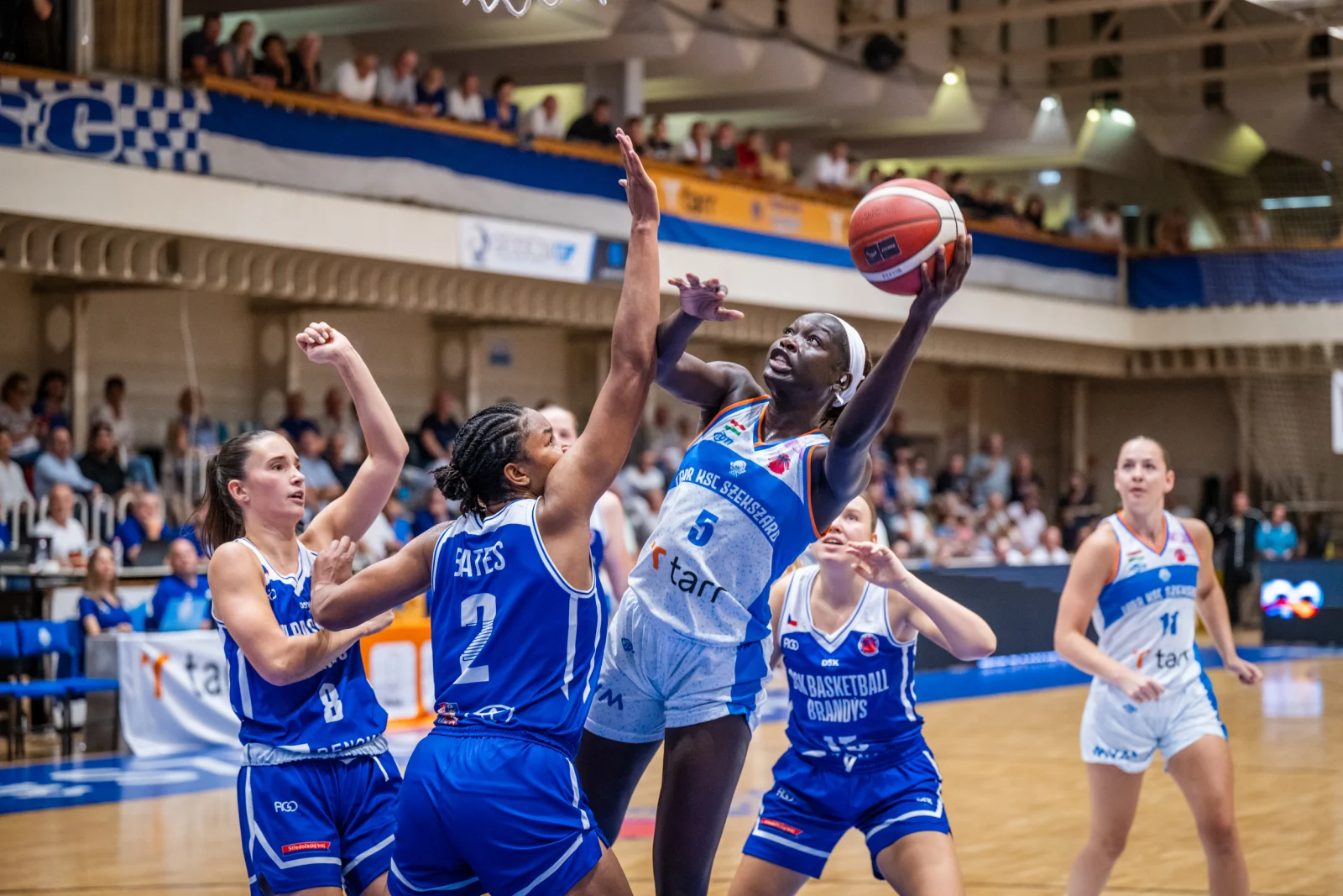 Ορισμός του MUST, σε Σέκσαρντ και σε Βόλο – Στοίχημα – Προγνωστικά